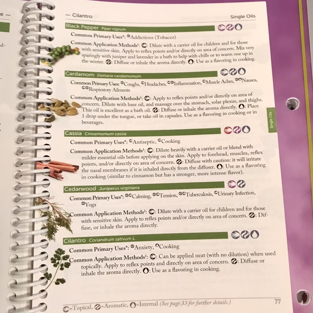 NEW ๐ Modern Essentials Usage Guide 7th Ed. - Picture 7 of 16